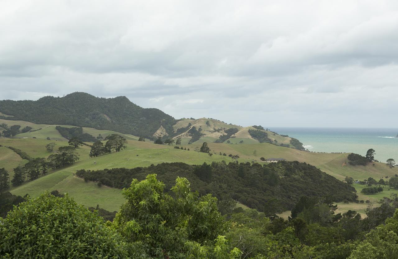 Ocean View B&B Whitianga Exterior foto